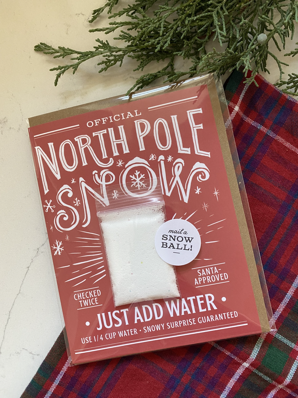 Snowy Surprise Made in USA Christmas Card — ASPEN GRANGE